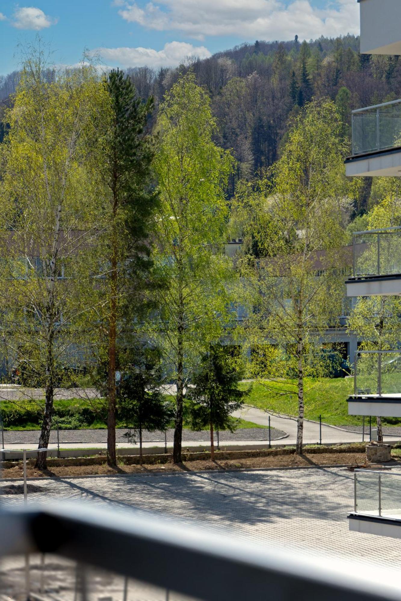 Szyndzielnia Hill Apartament # Nestapartamenty ビエルスコ・ビアバ エクステリア 写真